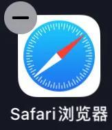 苹果手机怎么看网页版苹果safari打不开网页-第5张图片-太平洋在线下载