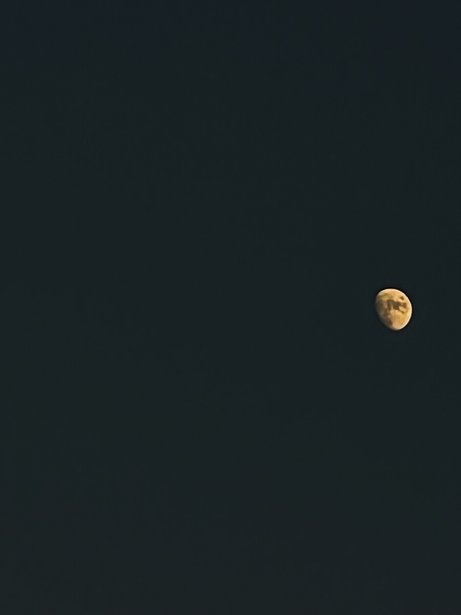 苹果手机拍月亮苹果手机拍月亮怎么拍的清楚-第1张图片-太平洋在线下载