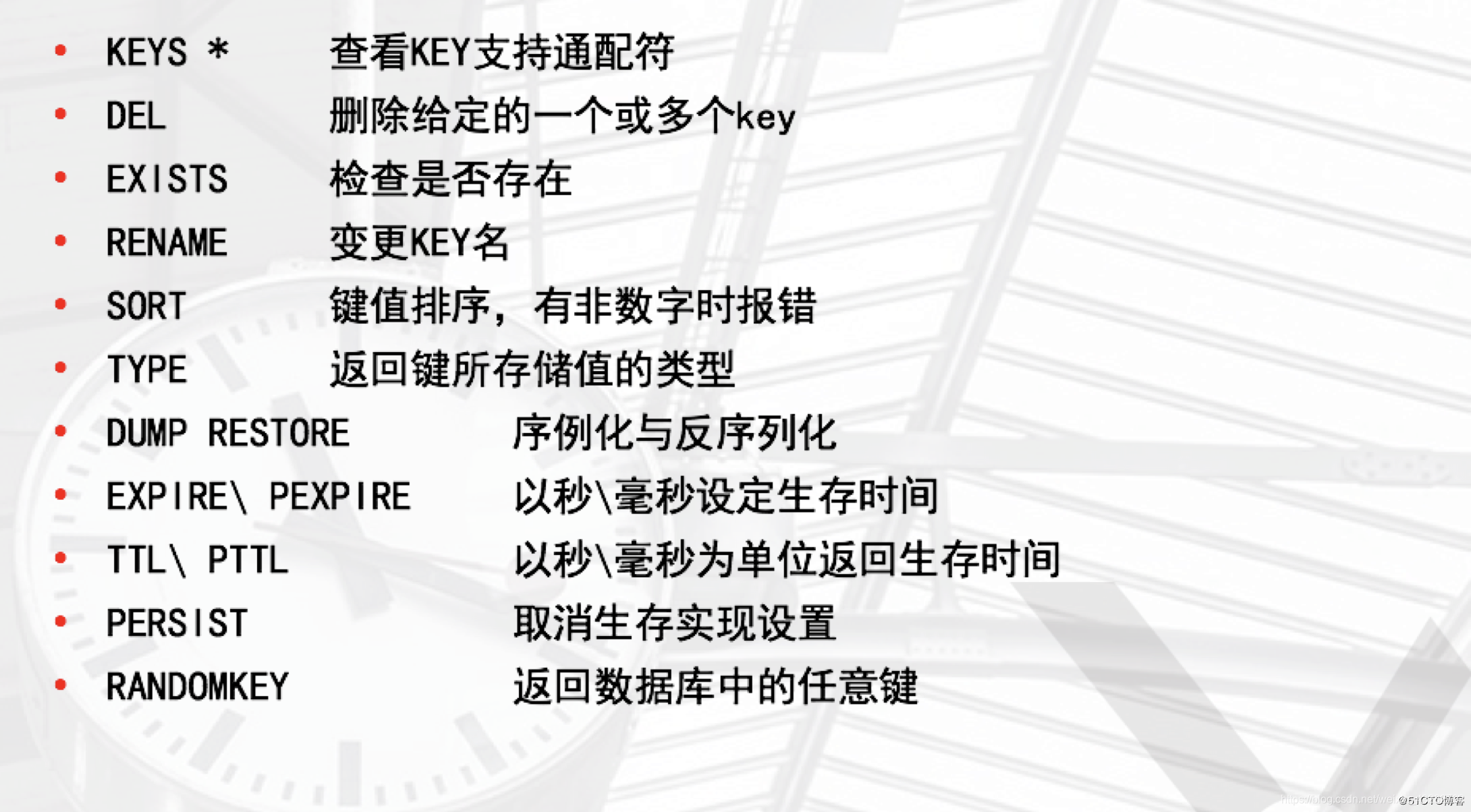 tair客户端tair拟南芥数据库